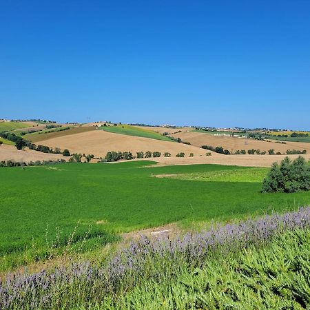 Cervidone Villa Saltregna מראה חיצוני תמונה