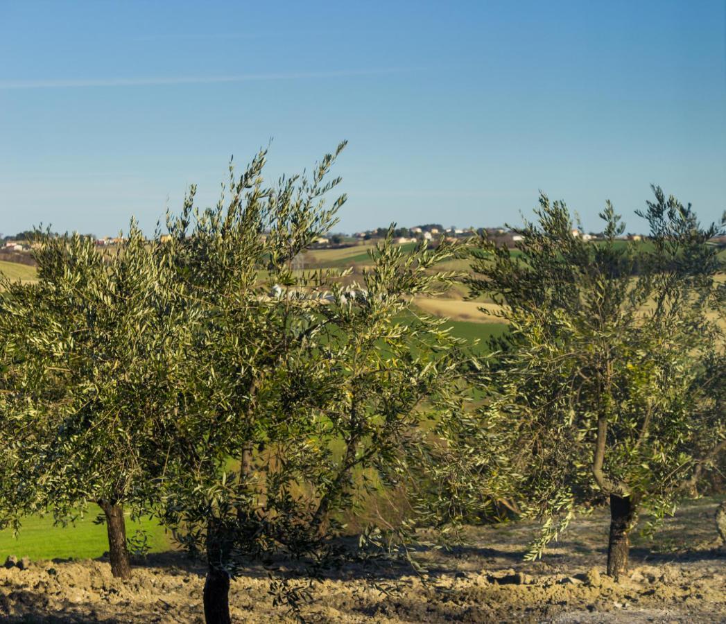 Cervidone Villa Saltregna מראה חיצוני תמונה